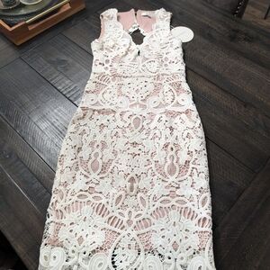 Chic Lace Midi Dress in Pink and White